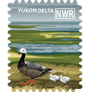 Yukon Delta National Wildlife Refuge